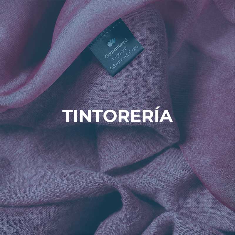  Tintoreria