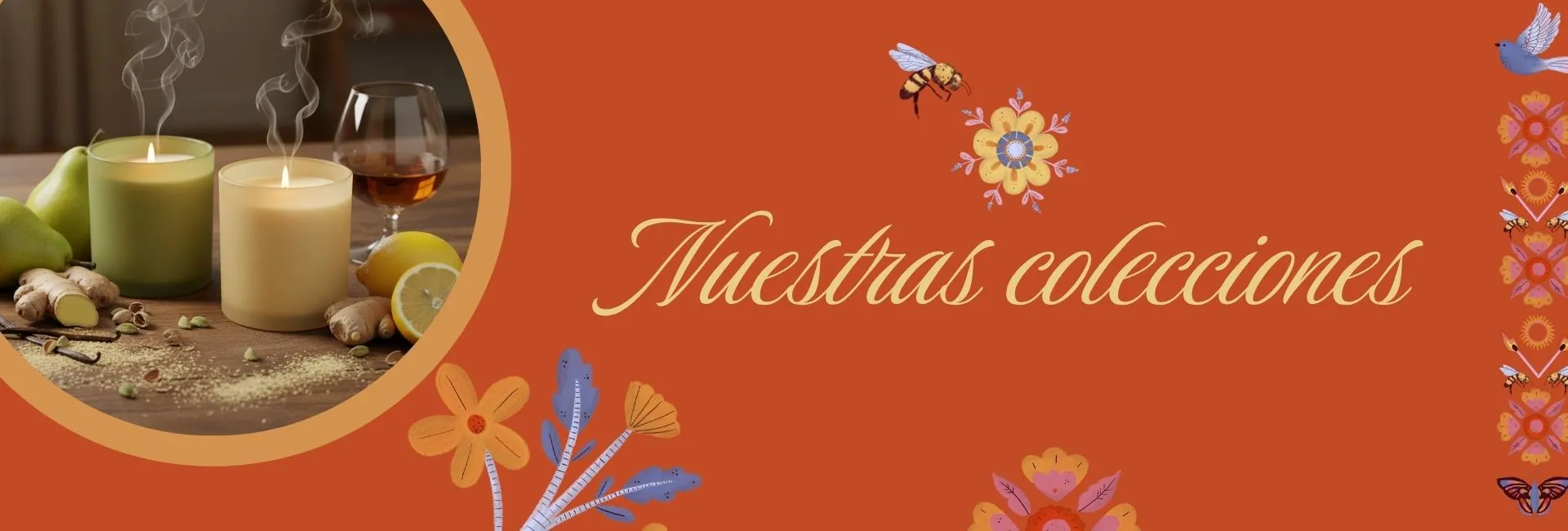 Nuestras colecciones