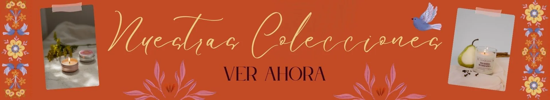 Nuestras colecciones