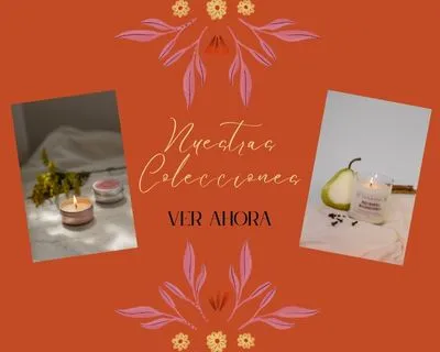 Nuestras colecciones