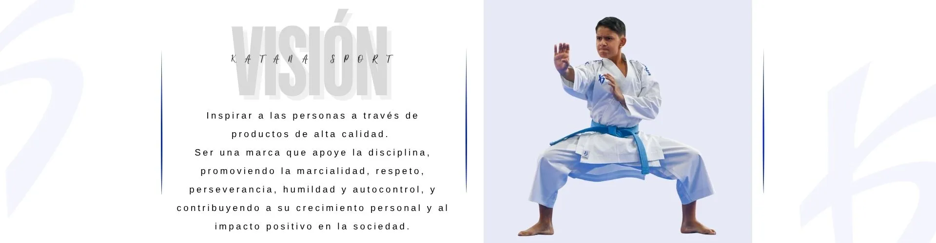 visión