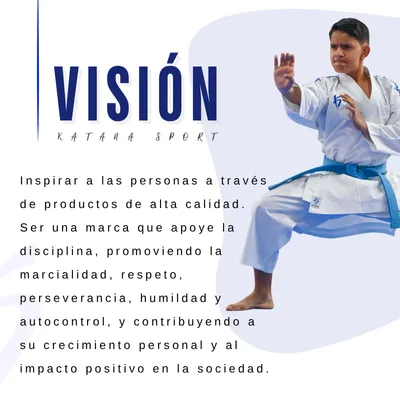 visión