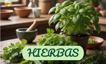 Hierbas