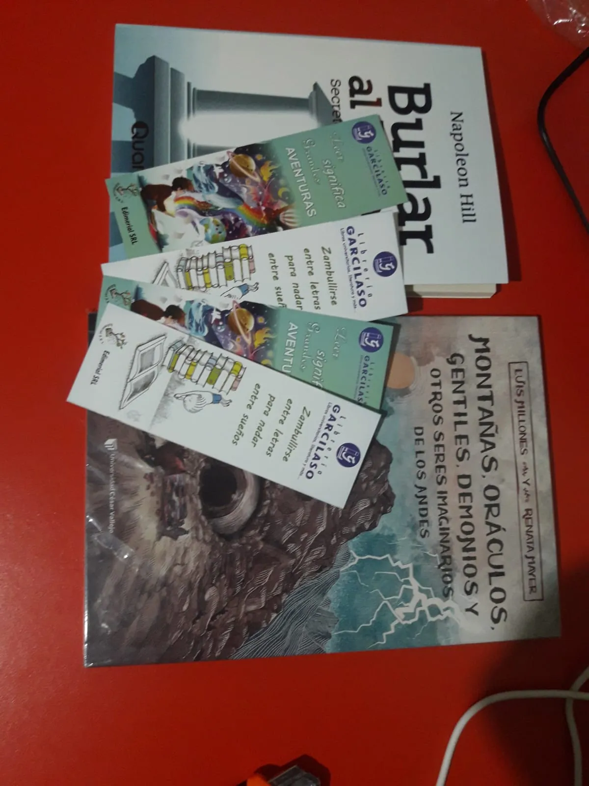 Imagen 1