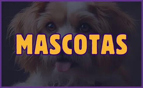 Mascotas